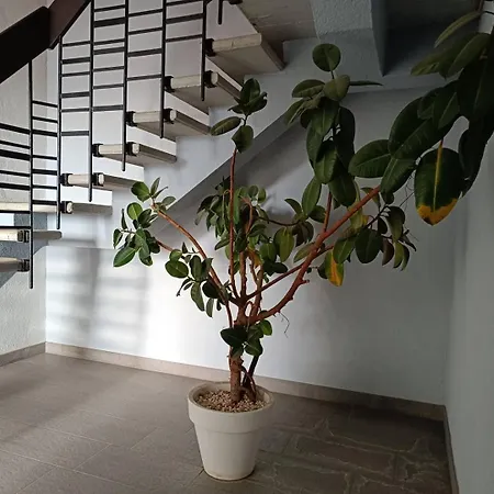 Appartement Emplacement Idéal Pour Ce T2 Face à La -parking-wifi-6pc237 *